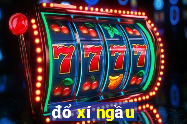 đổ xí ngầu