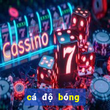 cá độ bóng đá online ben88