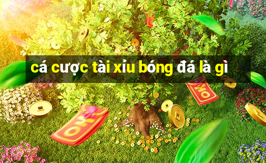 cá cược tài xỉu bóng đá là gì