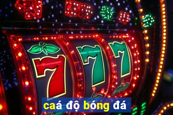 caá độ bóng đá