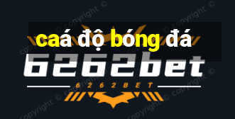 caá độ bóng đá