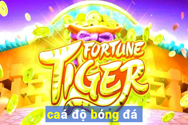 caá độ bóng đá