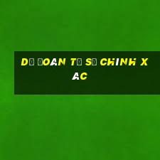 dự đoán tỉ số chính xác