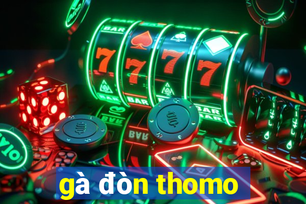 gà đòn thomo