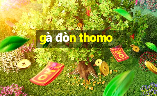 gà đòn thomo