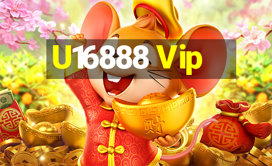 U16888 Vip