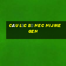 câu lạc bộ nec nijmegen