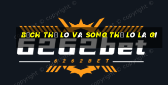 bạch thủ lô và song thủ lô là gì