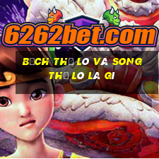 bạch thủ lô và song thủ lô là gì