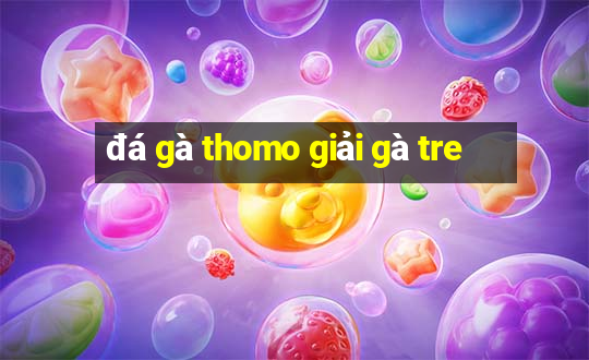 đá gà thomo giải gà tre