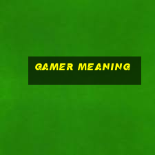 gamer meaning