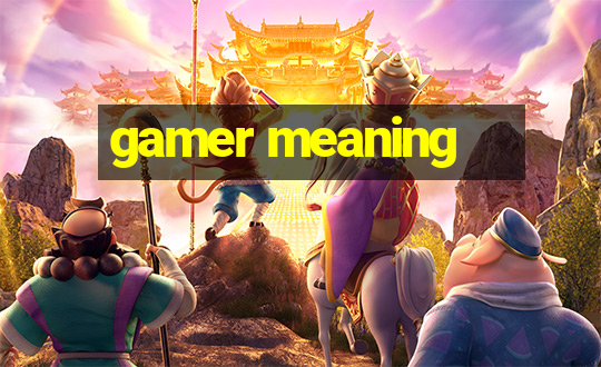 gamer meaning