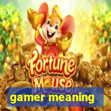 gamer meaning