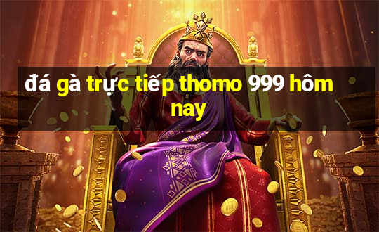 đá gà trực tiếp thomo 999 hôm nay