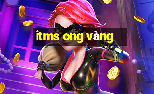 itms ong vàng