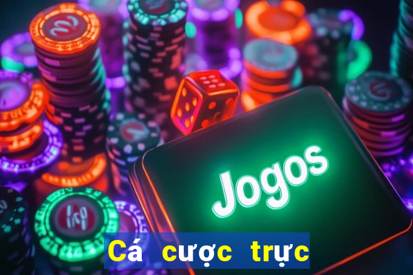 Cá cược trực tuyến instabet