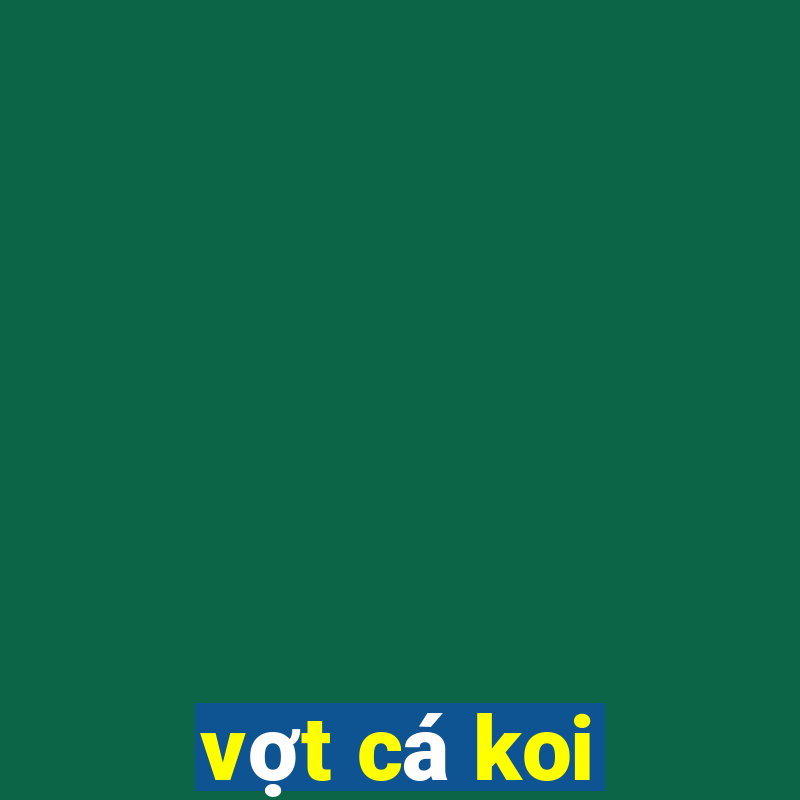 vợt cá koi