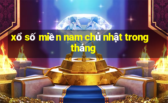 xổ số miền nam chủ nhật trong tháng