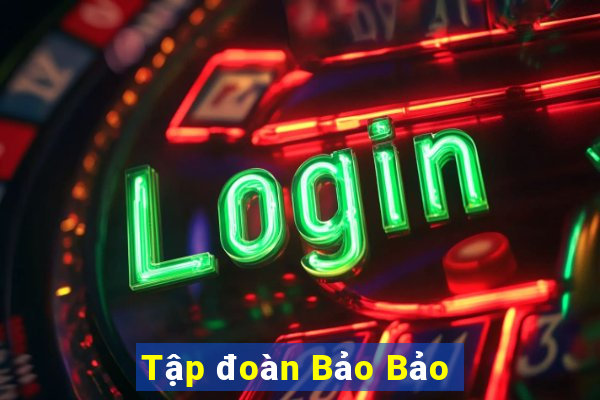 Tập đoàn Bảo Bảo