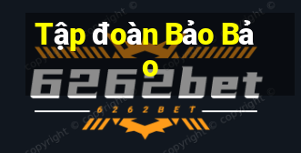 Tập đoàn Bảo Bảo