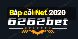 Bắp cải Net 2020