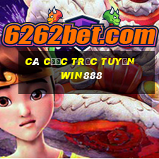 Cá cược trực tuyến win888