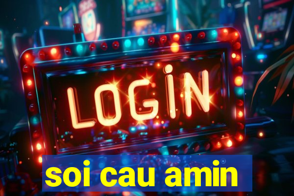 soi cau amin