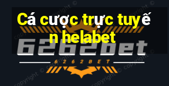 Cá cược trực tuyến helabet