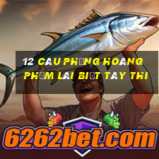 12 câu phụng hoàng phạm lãi biệt tây thi