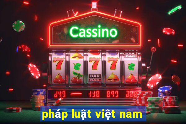 pháp luật việt nam