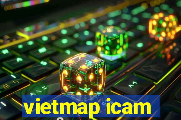 vietmap icam