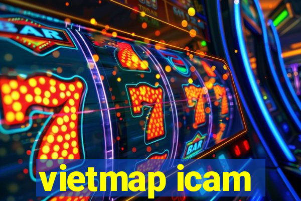 vietmap icam