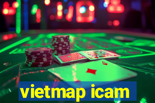 vietmap icam