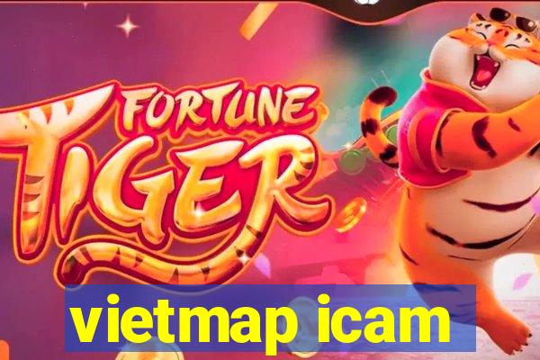 vietmap icam