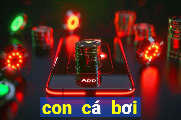 con cá bơi dưới nước