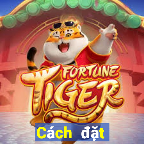 Cách đặt cược XSNT ngày 2