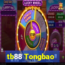 tb88 Tongbao