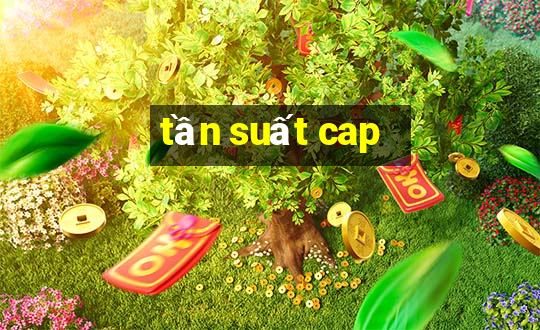 tan suat cap