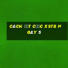 Cách đặt cược XSTB ngày 5