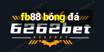 fb88 bóng đá