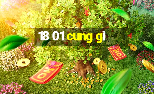 18 01 cung gì