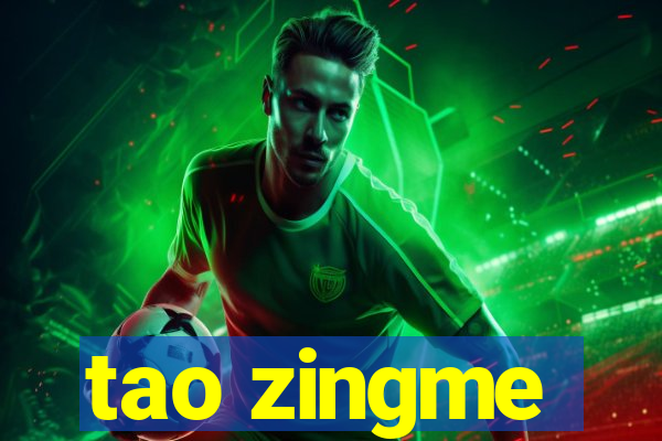 tao zingme