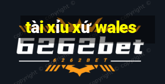 tài xỉu xứ wales