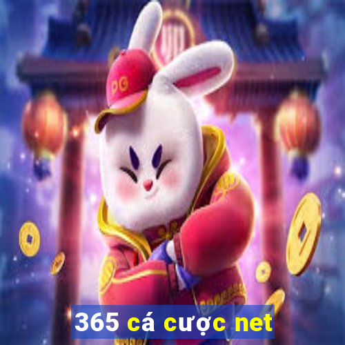 365 cá cược net