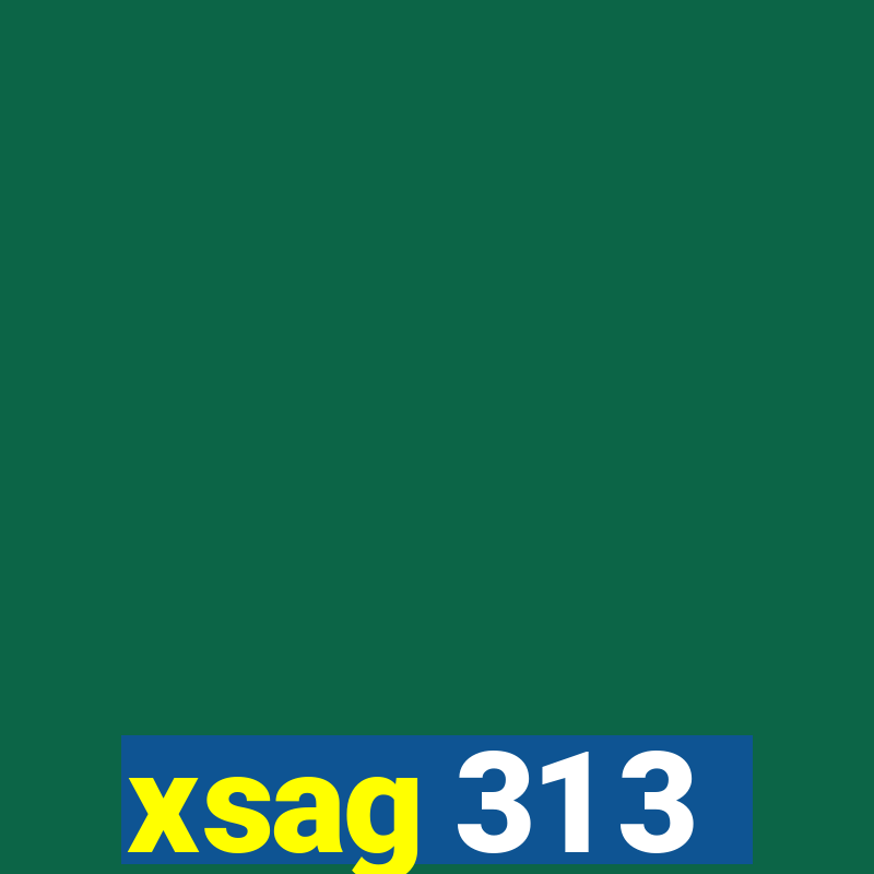 xsag 31 3