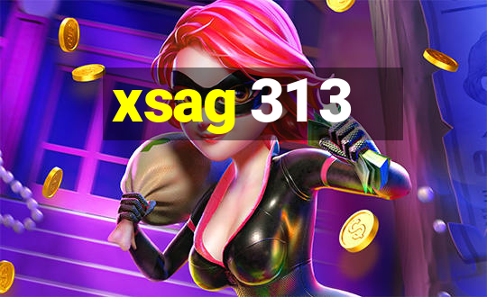 xsag 31 3