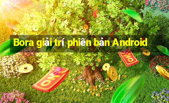 Bora giải trí phiên bản Android