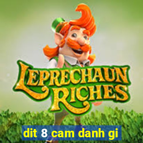 dit 8 cam danh gi