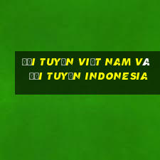 đội tuyển việt nam và đội tuyển indonesia