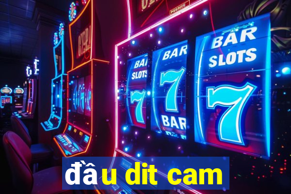 đầu dit cam